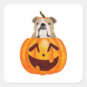 Bulldog Pumpkin Square Sticker