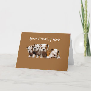Bulldog Puppies Card