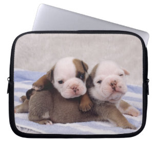 Bulldog Puppies Laptop Sleeve