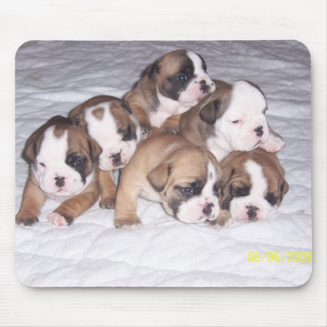 bulldog puppies mouse pad (Front)
