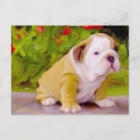 Bulldog puppy art postcard