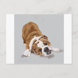 Bulldog Puppy at Play Postcard