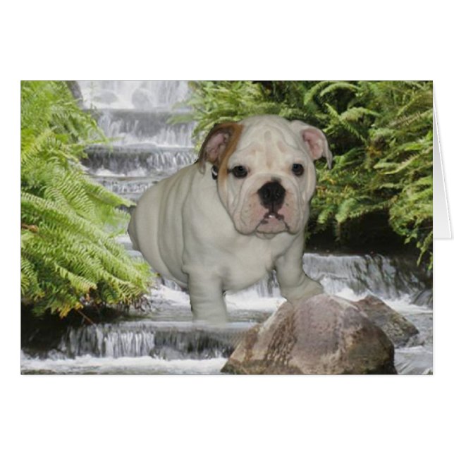 Bulldog Puppy Card Waterfall (Front Horizontal)