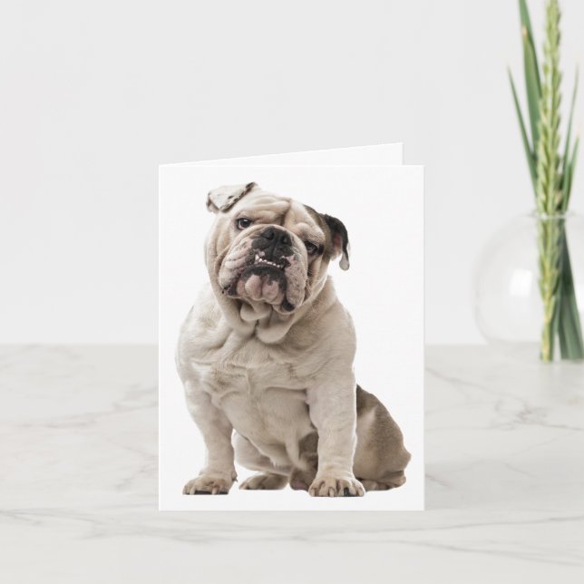 Bulldog Puppy Dog Love, Hello Thinking of You Card (Front)