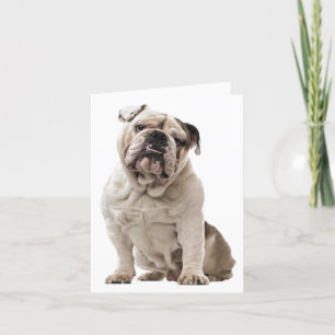Bulldog Puppy Dog Love, Hello Thinking of You Card