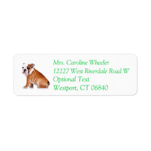 Bulldog Puppy Dog Return Address Name Label