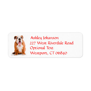 Bulldog Puppy Dog Return Address Name Label