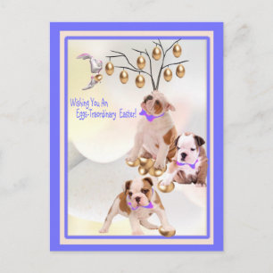 Bulldog Puppy Eggs -Traordinary Easter Wishes Holiday Postcard