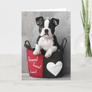 Bulldog Puppy Valentine Card