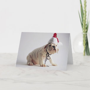 Bulldog Puppy Wearing Santa Hat Holiday Card