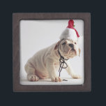 Bulldog Puppy Wearing Santa Hat Keepsake Box<br><div class="desc">ImageID: CRBR003089 / Jim Craigmyle / CORBIS / Bulldog Puppy Wearing Santa Hat /</div>