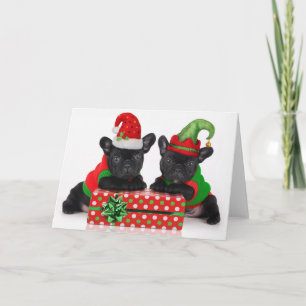 bulldog puppy with Christmas gift Holiday Card