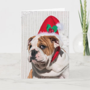 Bulldog Puppy with Christmas Hat Holiday Card