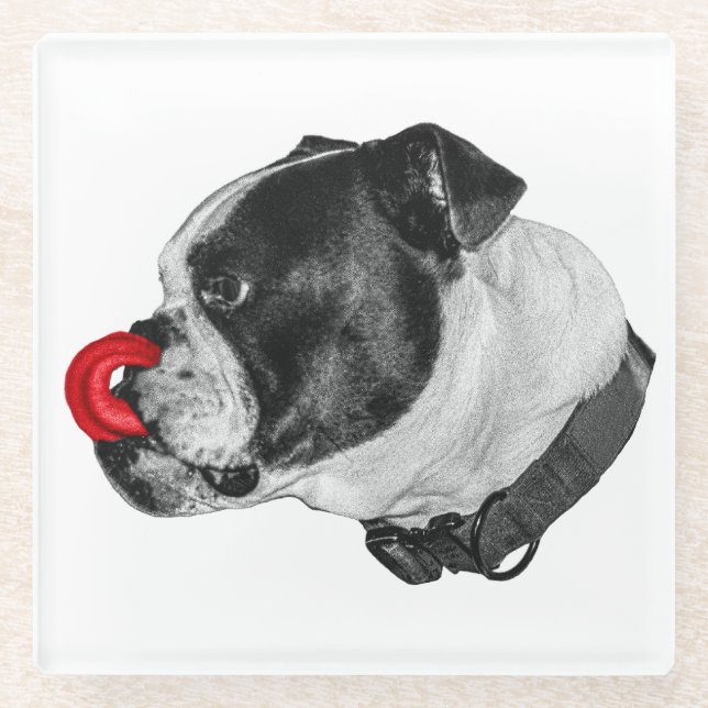 Bulldog Red Accent Coaster (Front)