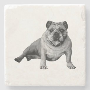 Bulldog Relaxation Moment Stone Coaster