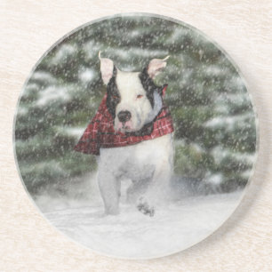 Bulldog Rescue Pup Dashing through the Snow Coaster