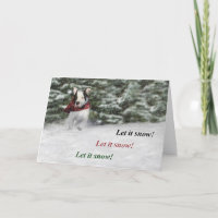 Bulldog Rescue Pup Dashing through the Snow