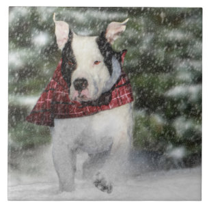 Bulldog Rescue Pup Dashing through the Snow Tile