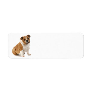 Bulldog Return Address Label