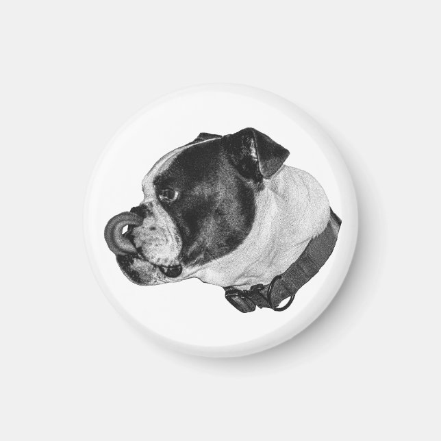 Bulldog Shaded Magnet (Front)