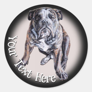 Bulldog Stickers Custom English Bulldog Stickers