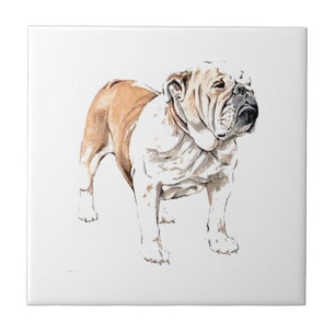 Bulldog Tile