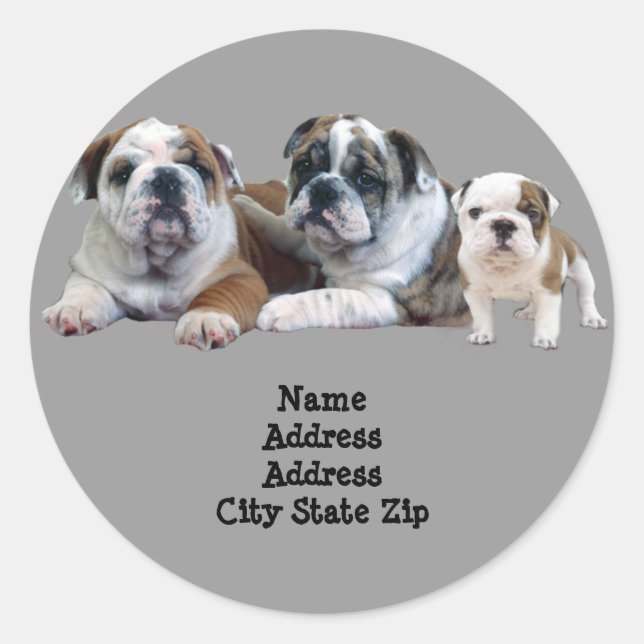 Bulldog Trio Address Label (Front)