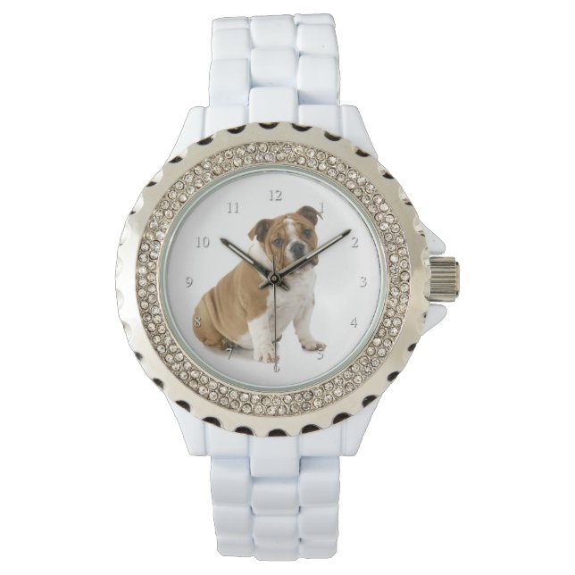 Bulldog Watch (Front)
