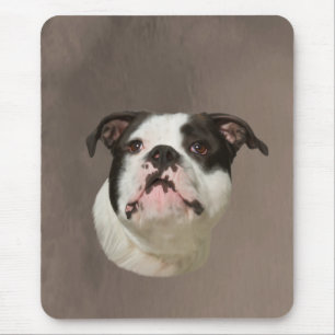 Bulldog Water Colour Art Painting Mouse Pad