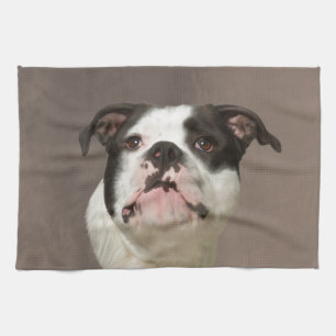 Bulldog Water Colour Art Painting Tea Towel