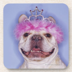 Bulldog wearing tiara coaster
