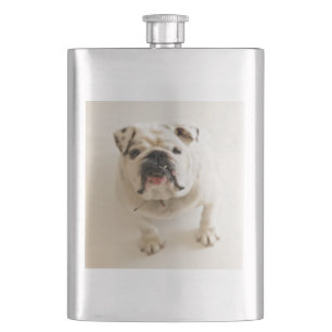 bulldog white hip flask