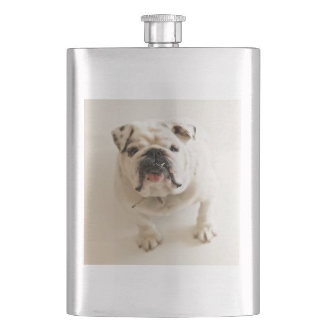 bulldog white hip flask (Front)
