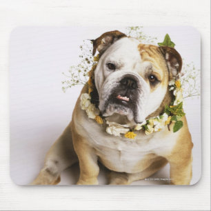 Bulldog with flower collar mouse pad