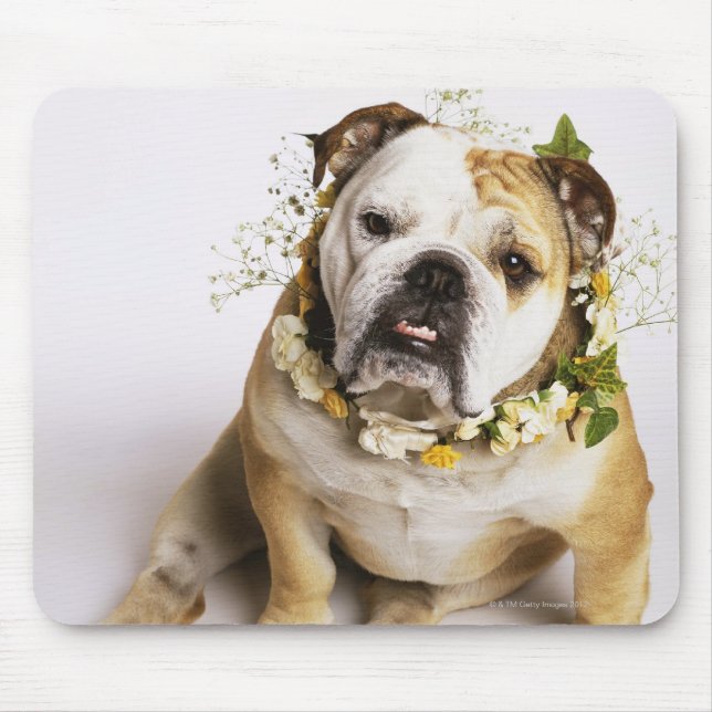 Bulldog with flower collar mouse pad (Front)