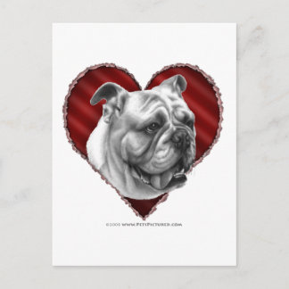 Bulldog with Heart Postcard