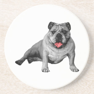 Bulldog with Red-Flecked Charm Coaster