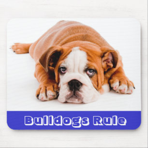 Bulldogs Rule! English Bulldog Puppy Dog Mousepad