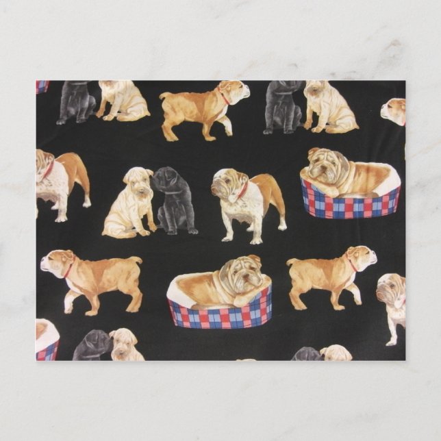 Bulldogs & Shar Peis Postcard (Front)