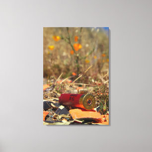 Bullets2 Canvas Print