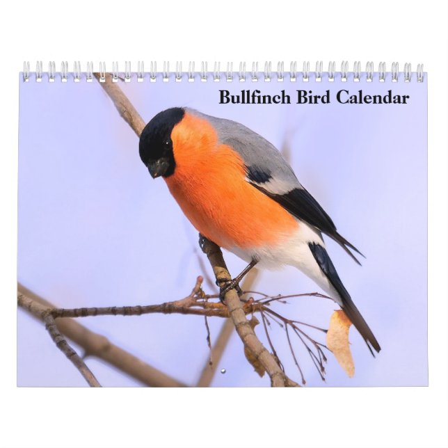 Bullfinch Bird Calendar (Cover)