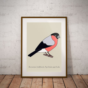 Bullfinch  poster