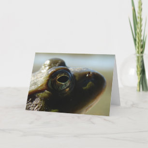 Bullfrog Card