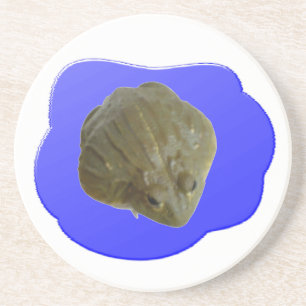 Bullfrog Coasters