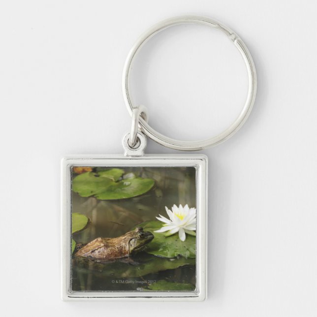 Bullfrog in Lily Pond Key Ring (Front)