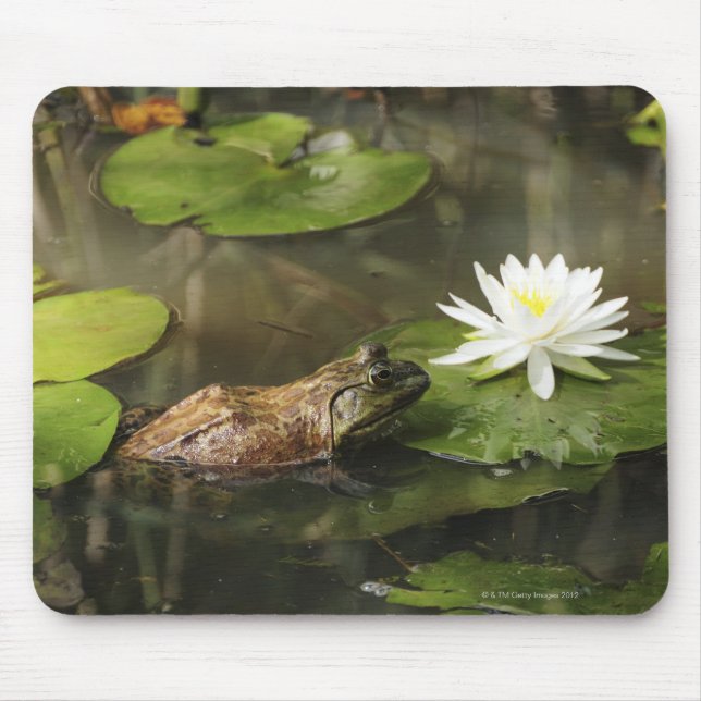 Bullfrog in Lily Pond Mouse Pad (Front)
