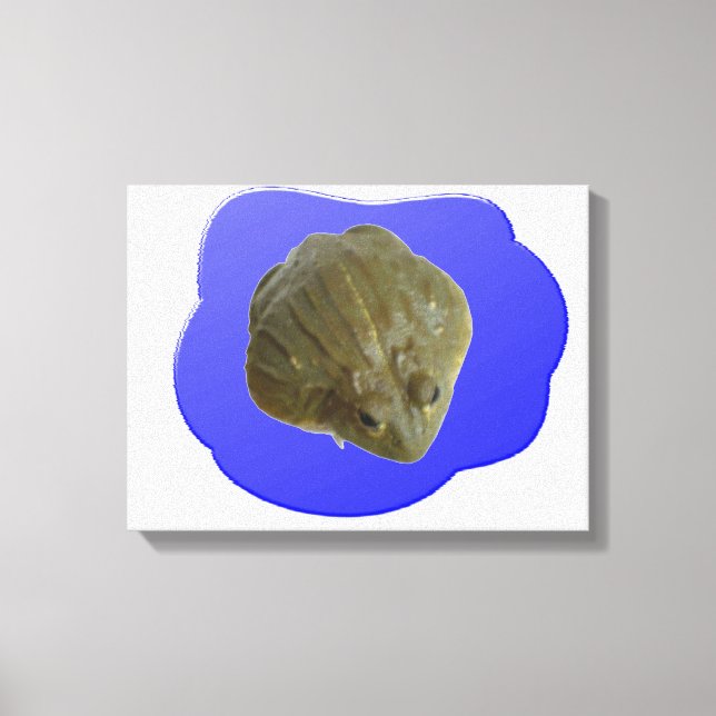 Bullfrog in Pond Canvas Print (Front)