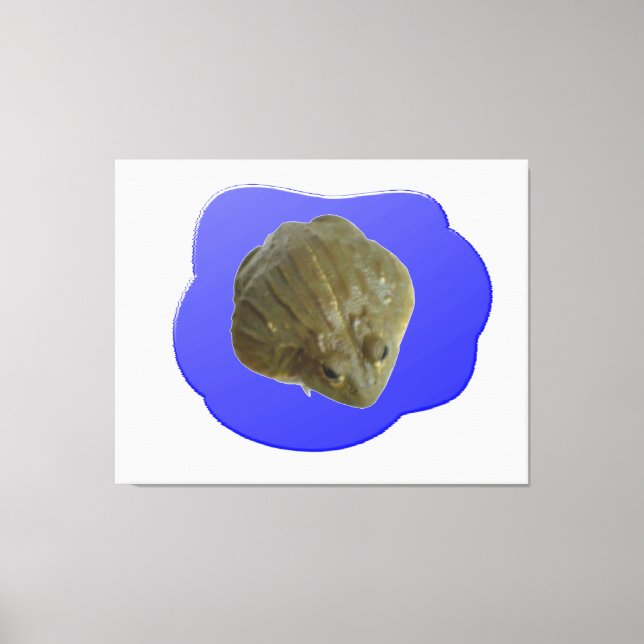 Bullfrog in Pond Canvas Print (Front)