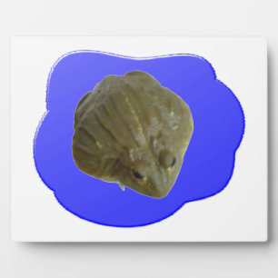 Bullfrog in Pond Plaque