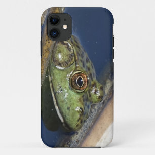 Bullfrog iPhone case